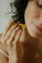 Palo Santo Oil Perfume